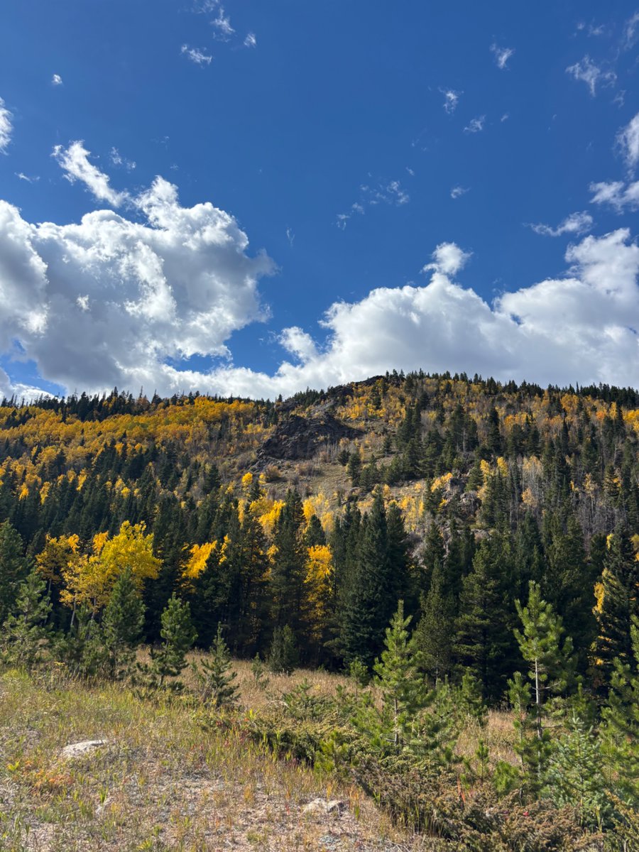 eadams_eadams's tweet image. gramma said #lightning
only strikes once
still i sit 
high on this mountain 
praying for rain

to mingle with tears
to cover fears
another storm 
to set me free

and still i wonder
could a love like this
really be 
real
the swoon in my heart
says yes, believe

#vss365