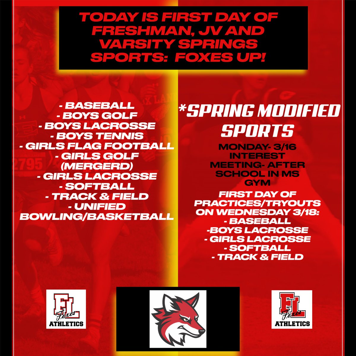 Fox Lane Fan Zone tweet media