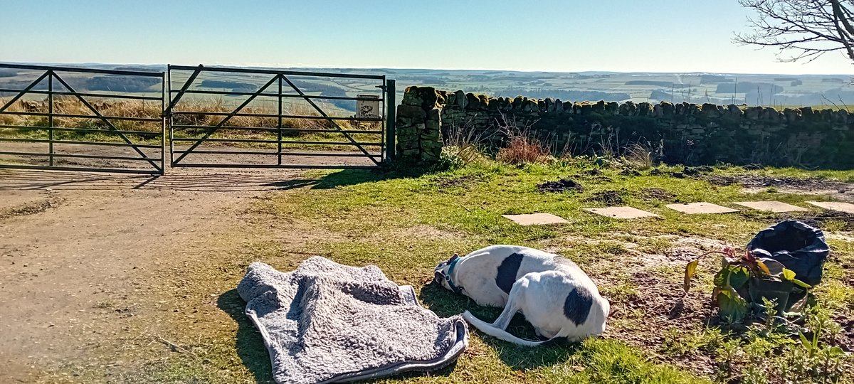 AndyBloke tweet media