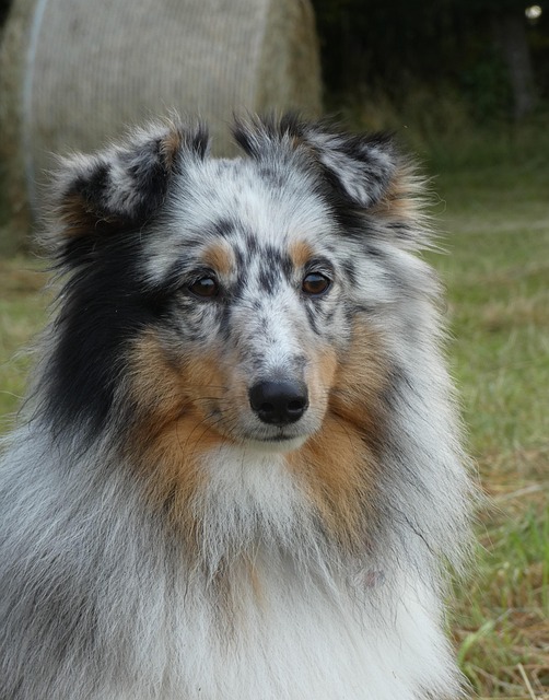 Cheryl Sessions tweet media