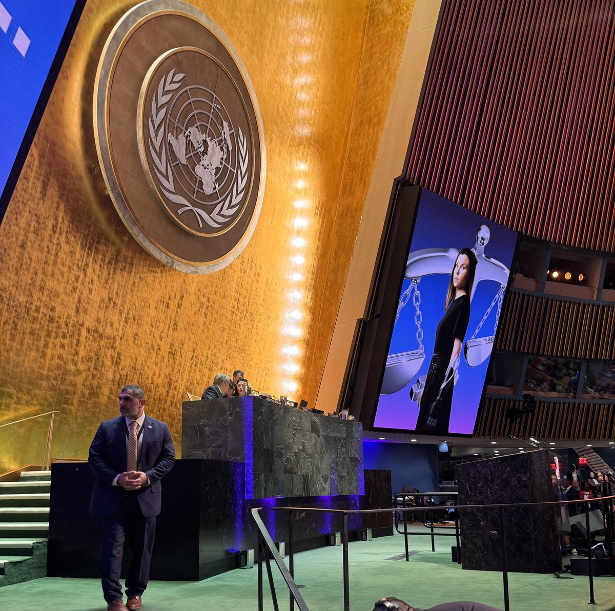 Irene Fellin - NATO SGSR for WPS tweet media