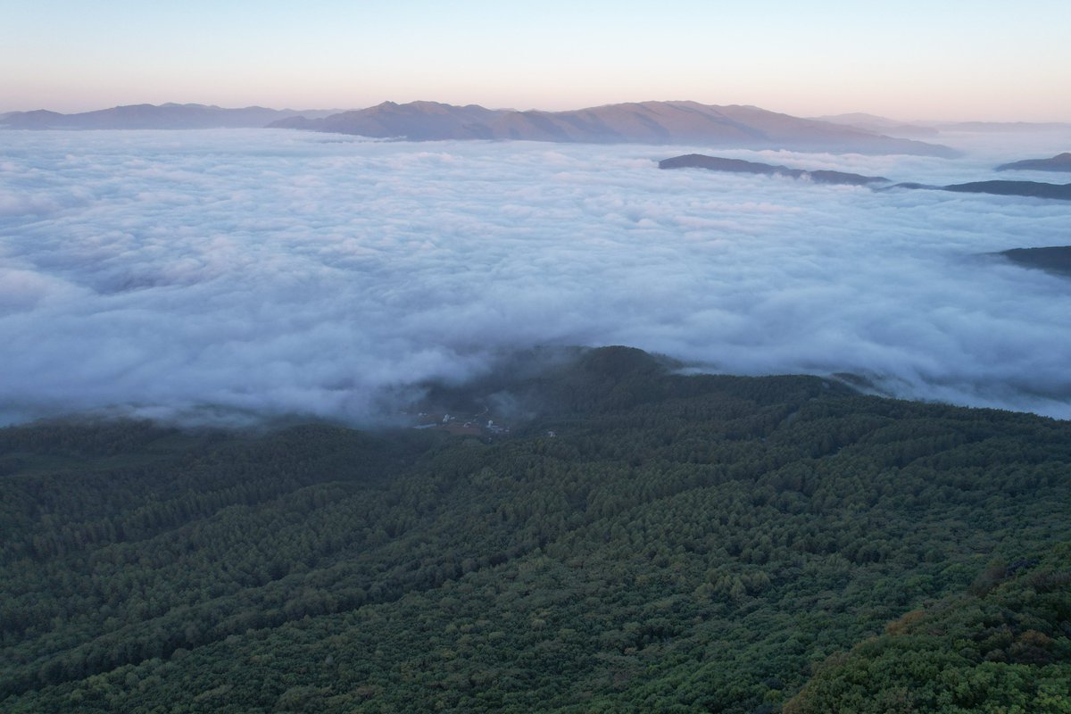 Constant Success tweet media