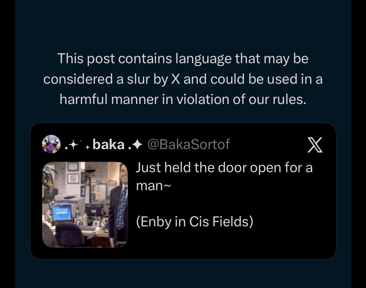 .𖥔 ݁ ˖ baka .✦ tweet media