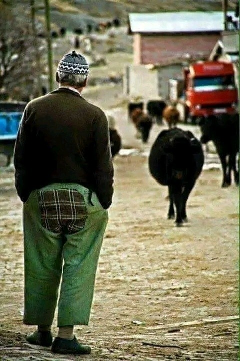 TOPRAK_2_'s tweet photo. Bir kaç genç Ramazan ayında yaşlı birinin
kuytu bir köşede gizliden yemek yediğini görürler..
Alay ederek ;
''Hayırdır oruçlu değil misin dede''
Yaşlı adam : '
'Tabi ki oruçluyum sadece su içip yemek yiyorum''
Gençler gülerek ''Gerçekten mi'' derler  ..
Yaşlı adam : ''Gerçekten tabi ;
Yalan söylemiyorum ..
Kimseye kötü gözle bakmıyorum ..
Kimseyle alay etmiyorum..İsrâf etmiyorum  ..
Kimseye hakaret  etmiyorum ..
Kimsenin gizlisinin saklısının ardına düşmüyorum .. Gıybet etmiyorum  ..
Kimsenin malına göz dikmiyorum..
Lakin bir hastalıktan dolayı
Mideme oruç tutturamıyorum o kadar..''
Yaşlı adam gençlere dönerek : ''Peki siz
Oruçlu musunuz !?''
Gençler utanarak başlarını önlerine eğip :
Hayır oruçlu değiliz sadece yemek yemiyoruz !!
Alıntı
İNSAN ; bazen kendini de okumalı..
Hatta yargılamalı..
