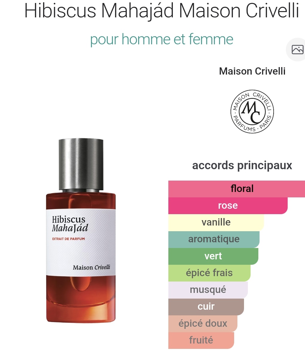 IsmLM🇩🇿🇵🇸 tweet media