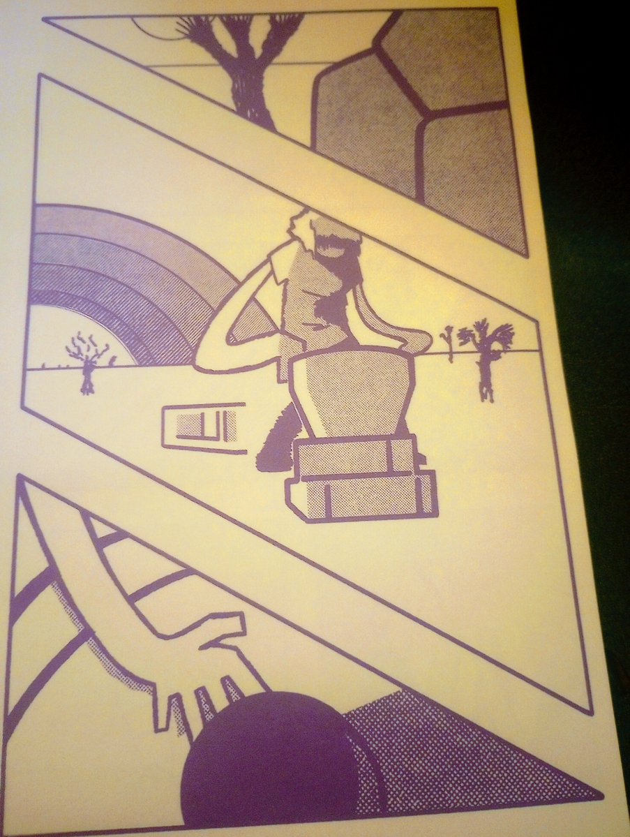 Lichen Euchella tweet media