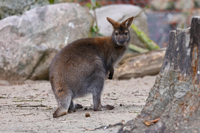 Quentin Garcia tweet media