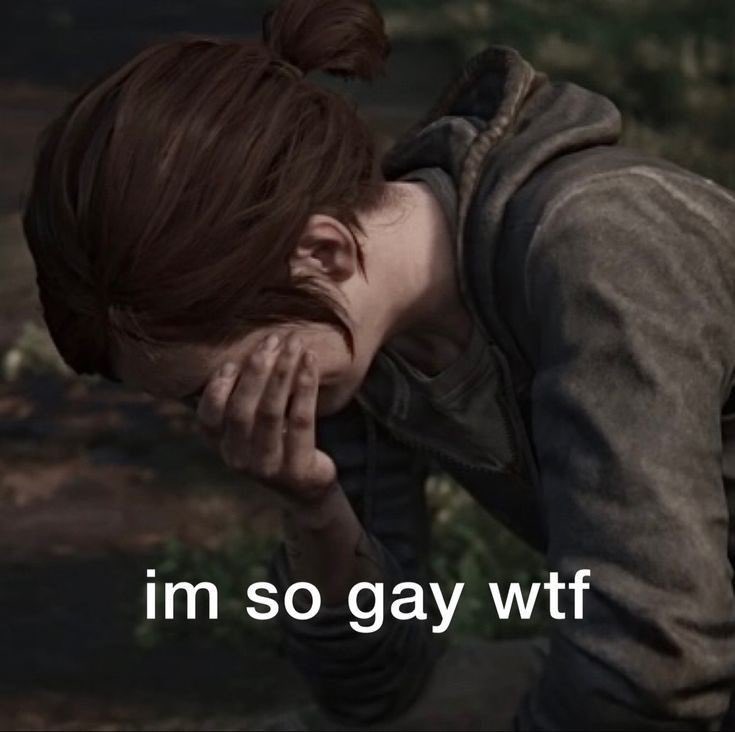 LoDo 🏔 tweet media