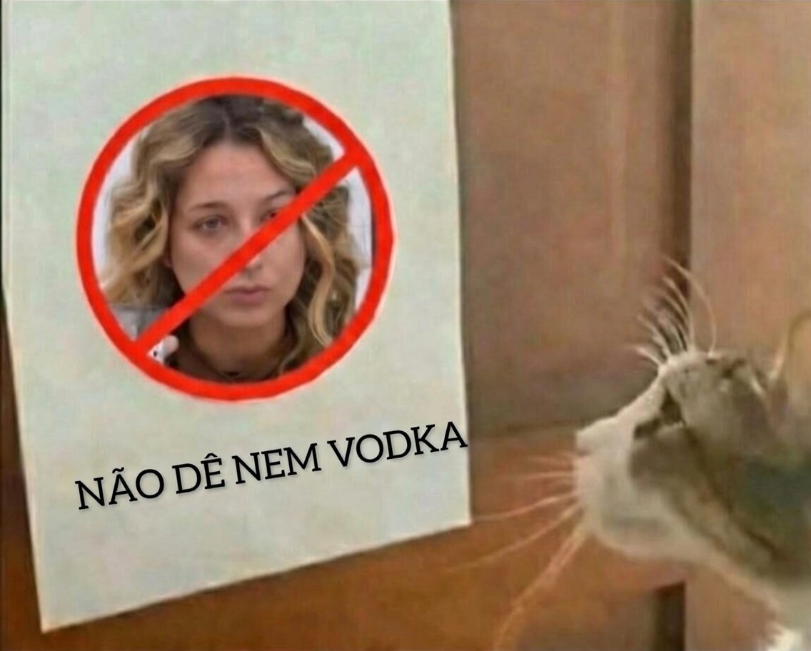 juro se a samira chegar, por um milagre divino, no top 5/4, alguém precisa contar pra ela tudo que a gente passou pra defender ela nos dias de luta