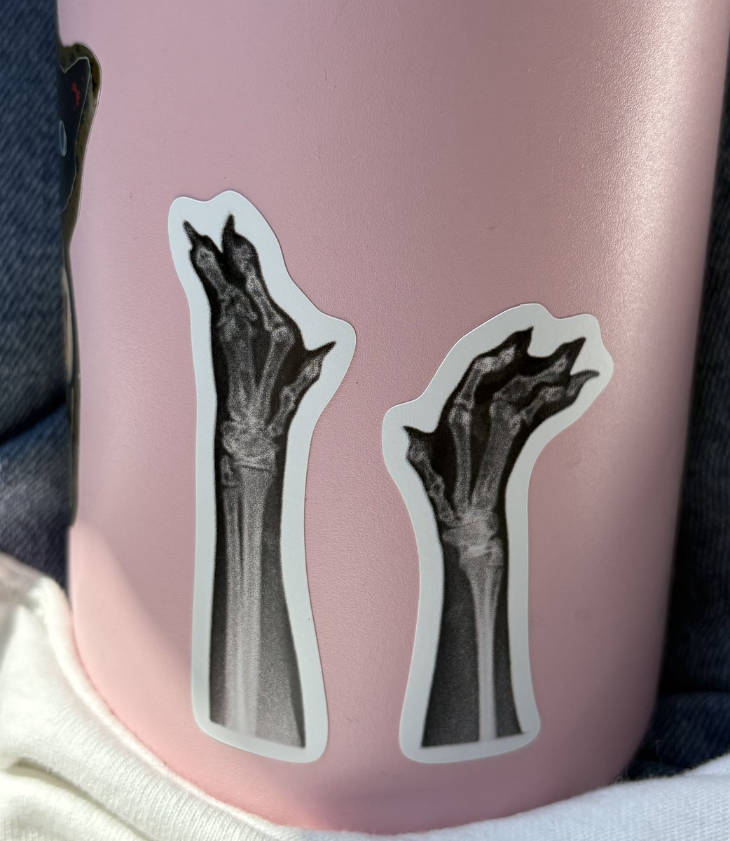 mcchickened's tweet photo. @oreoeocat monkey feet on da water bottle fo today https://t.co/rIQfLZ4DpC