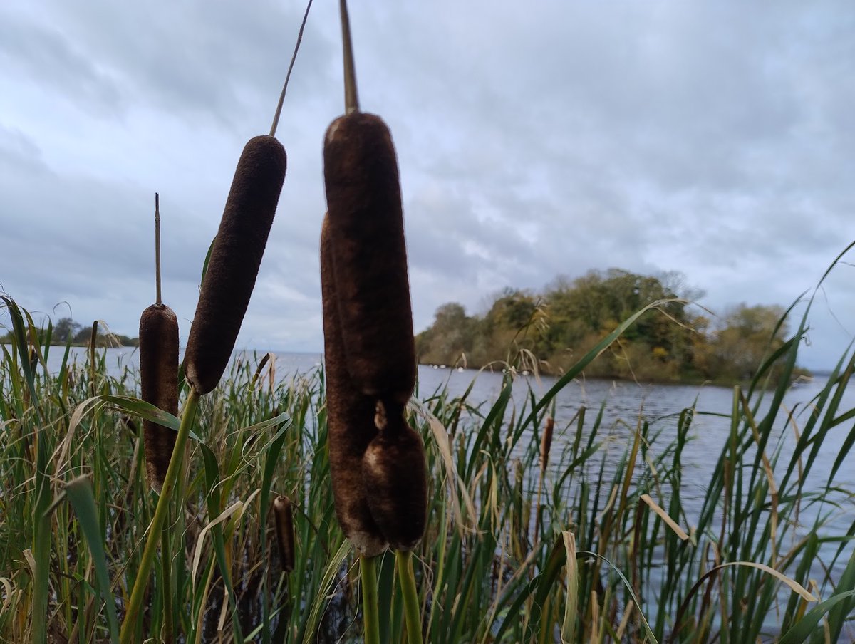 FreshwaterQuality tweet media