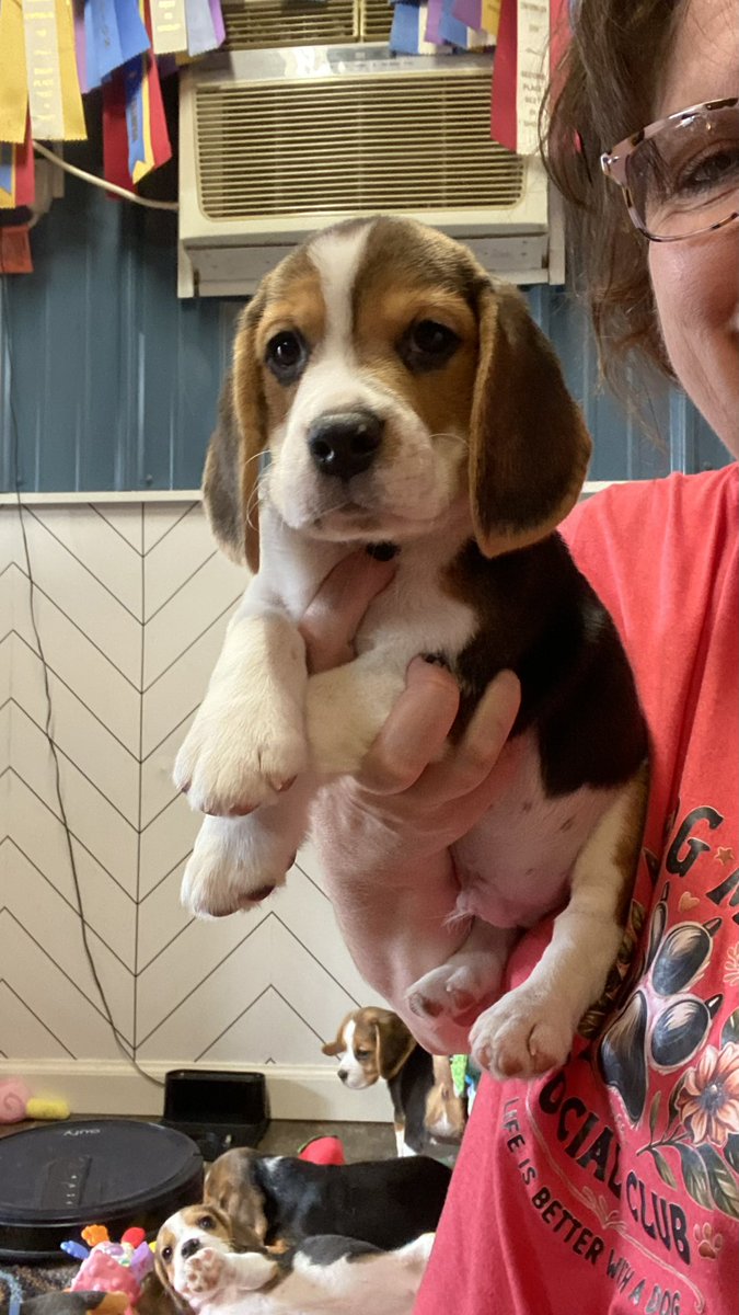 🌊Lilibet🪼 tweet media