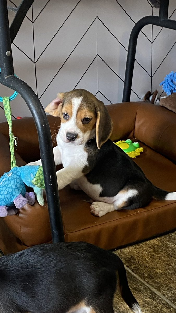 🌊Lilibet🪼 tweet media