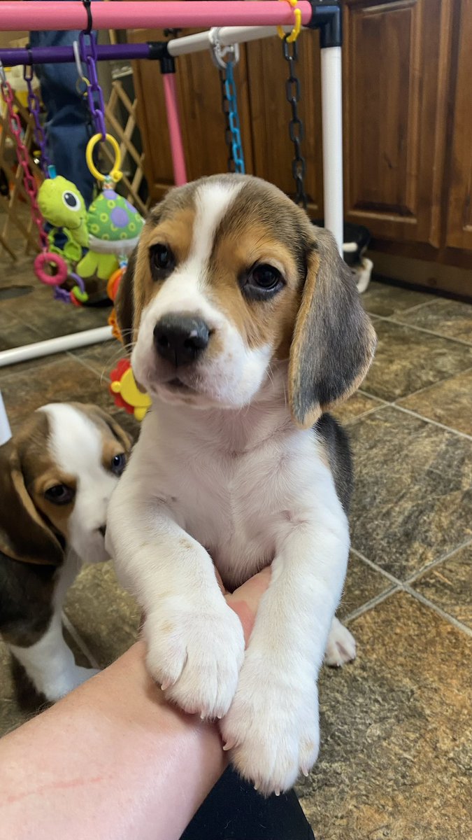 🌊Lilibet🪼 tweet media