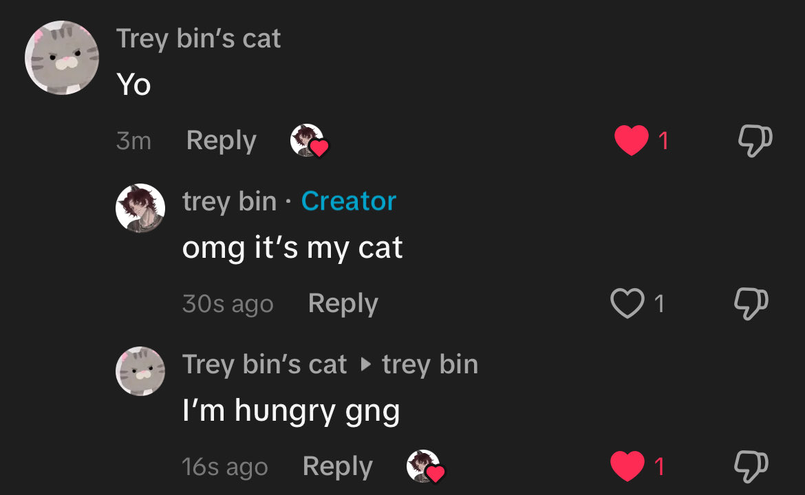 i make 1 vid about my cat 😭