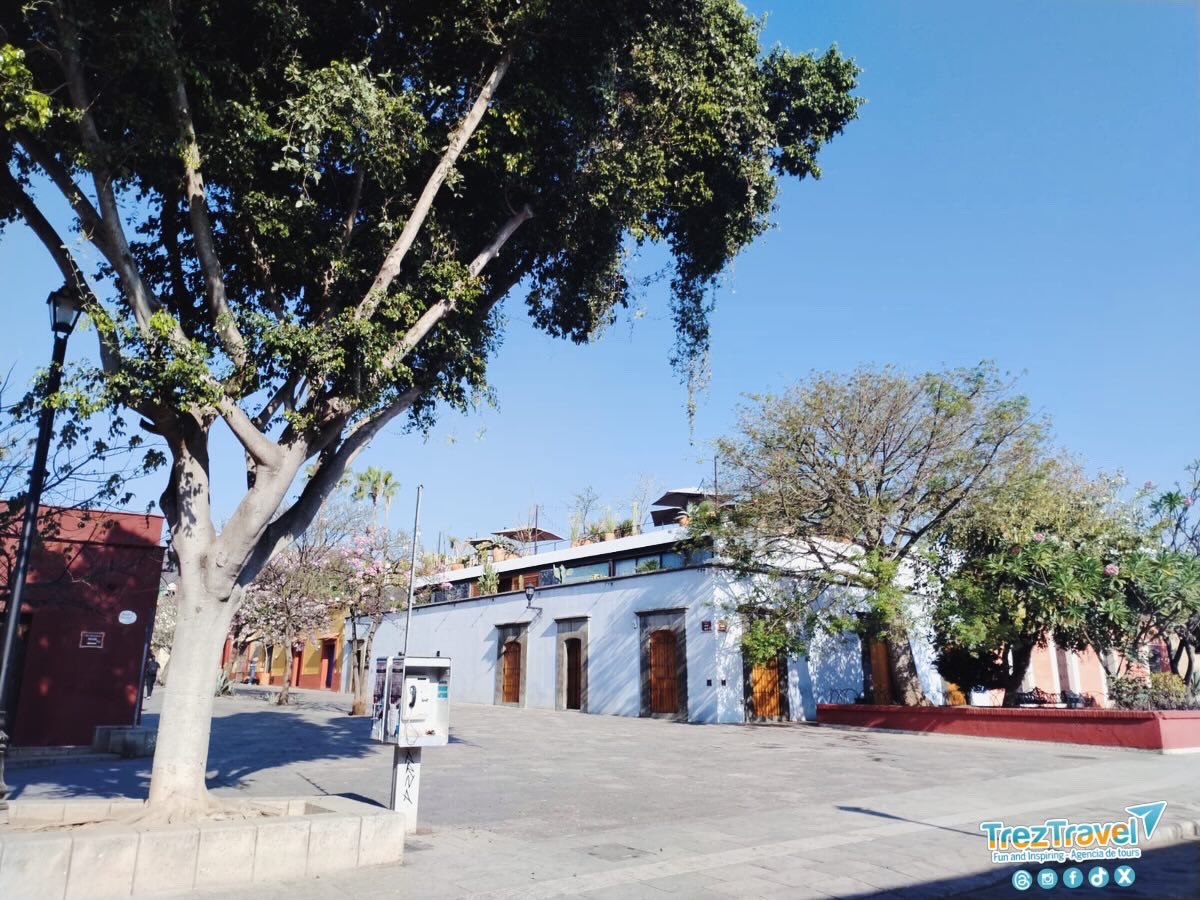 TrezTravel's tweet photo. Oaxaca y sus rinconcitos mágicos
En cada calle y en cada esquina de Oaxaca hay un detalle que enamora: colores, historia, aromas y momentos que invitan a detenerse y disfrutar. 
Ven y encuentra tu rincón favorito con Trez Travel.
#OaxacaMágico #RinconesDeMéxico #DescubreOaxaca https://t.co/P8gXoCaV22