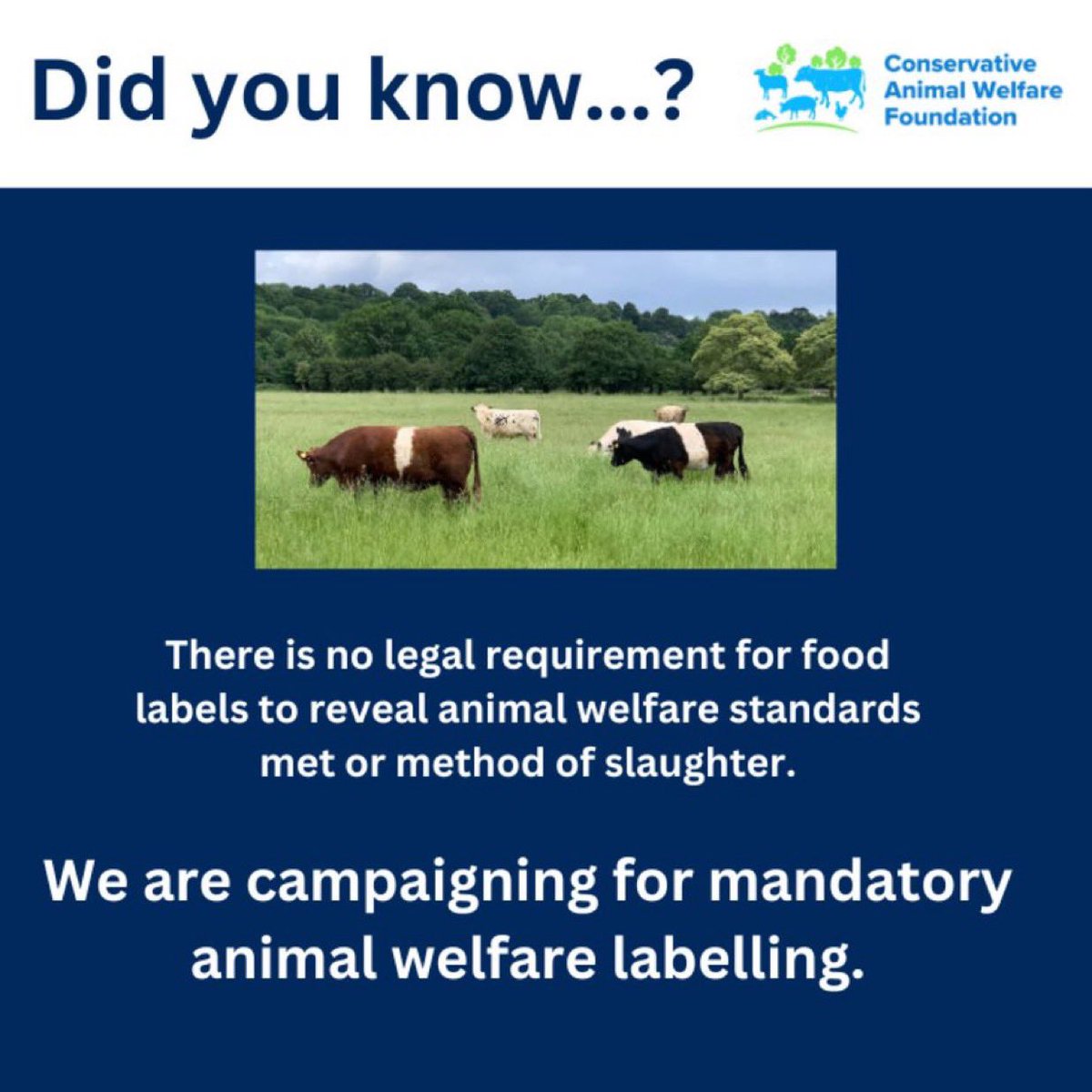 Conservative Animal Welfare Foundation tweet media