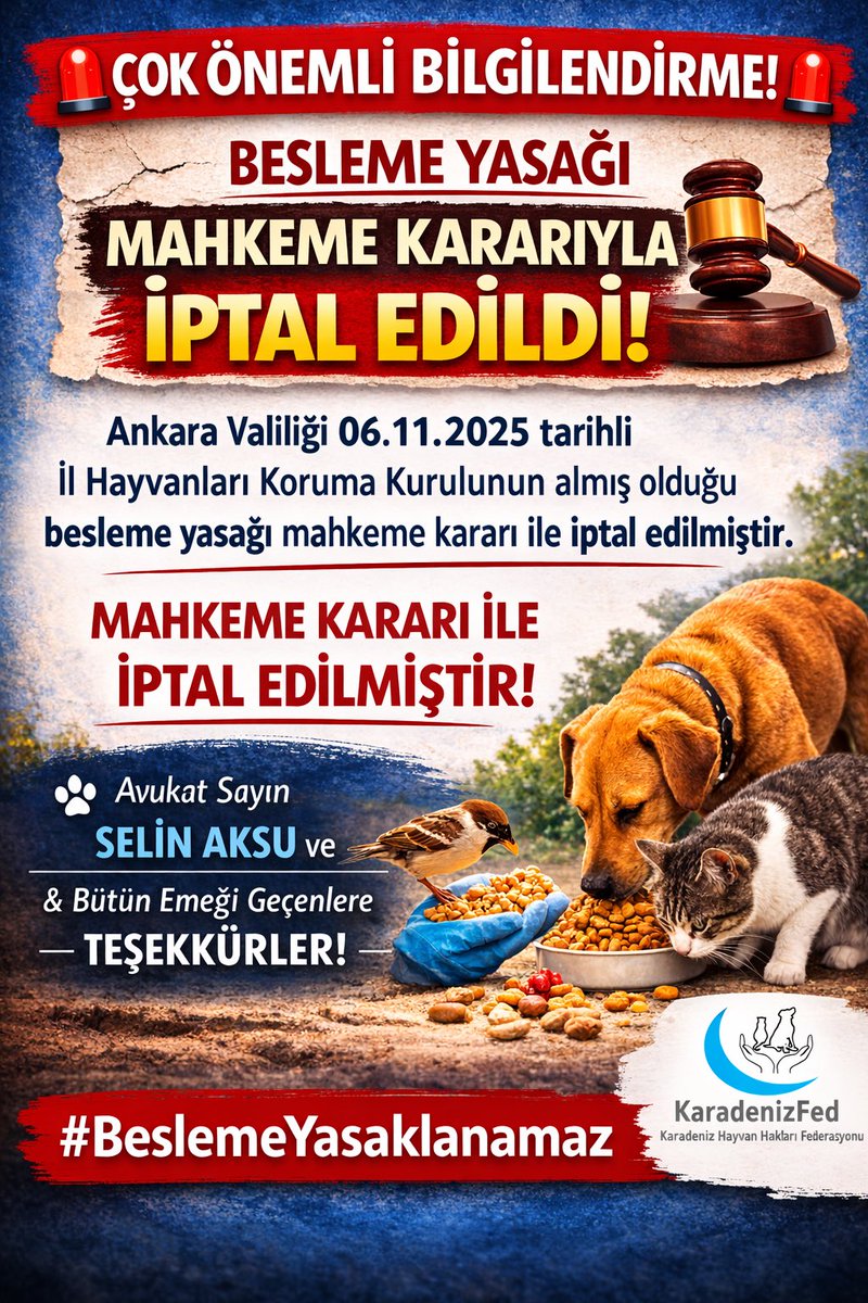 nihalerkoc06's tweet photo. Ankara Valiliği 06.11.2025 tarihli İl Hayvanları Koruma Kurulunun almış olduğu besleme yasağı MAHKEME KARARIYLA İPTAL EDİLDİ! 

Avukat Sayın @SelinNava ve bütün emeği geçenlere TEŞEKKÜRLER.
#BeslemeYasaklanamaz https://t.co/ctP10YINbf
