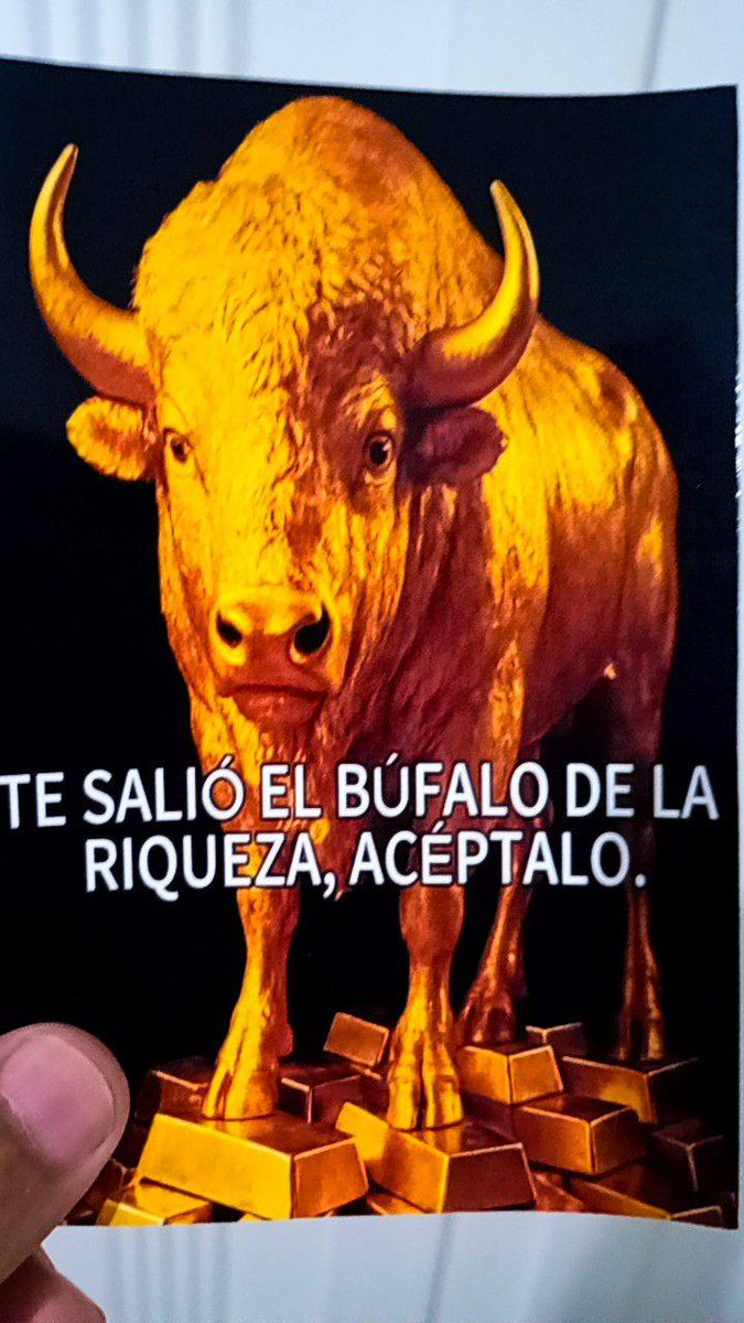 Zona Zero tweet media