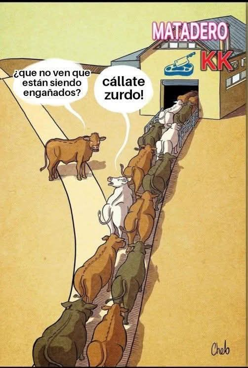 El pobre de derecha.