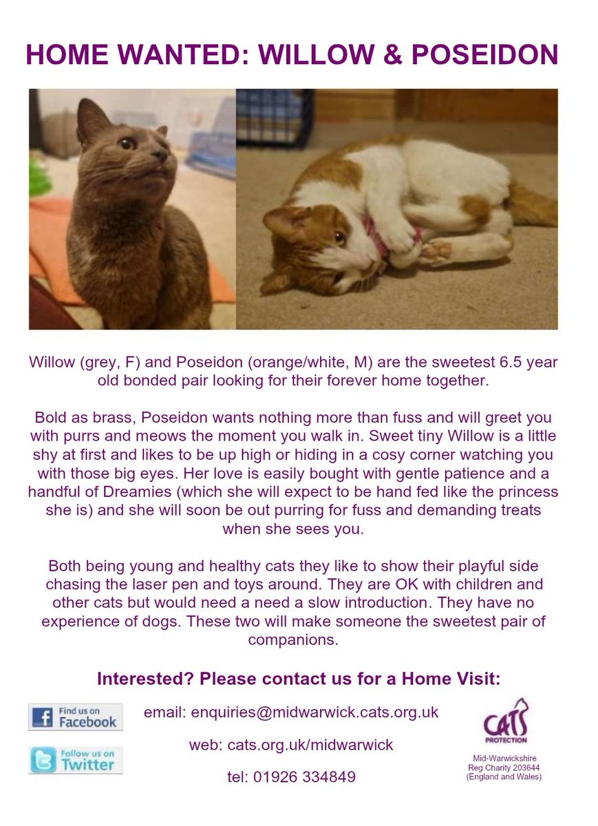 MidWarwickCats tweet media