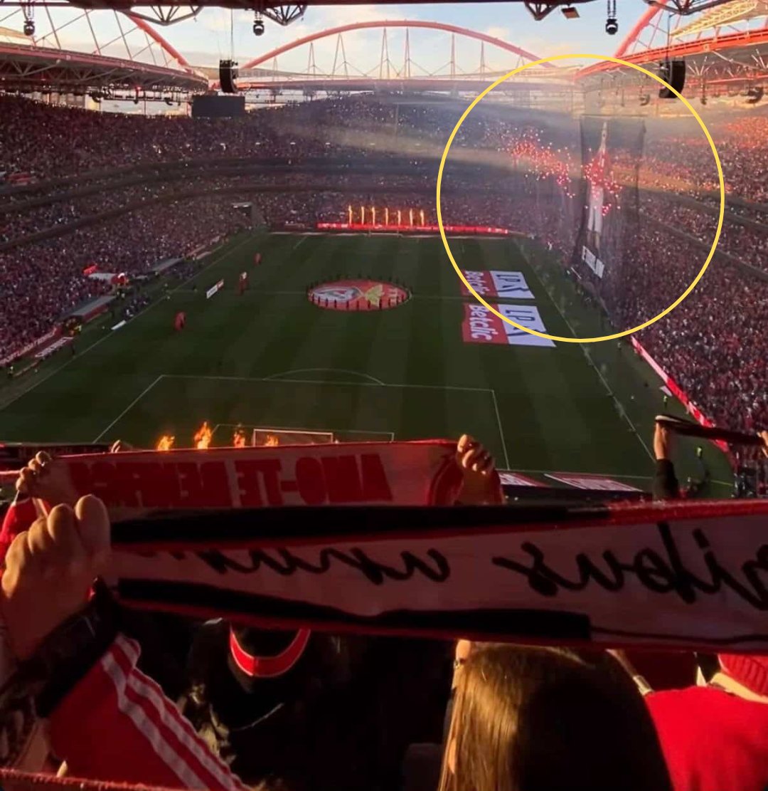 SC Braga News tweet media