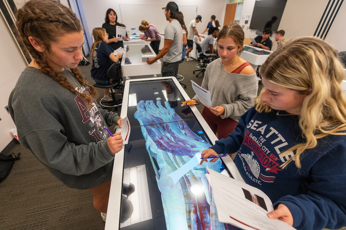 TAMU College of Agriculture & Life Sciences 👍 tweet media