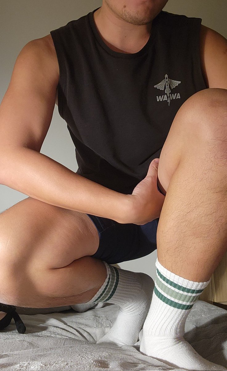 🌈💉砂糖國獸甲WiKi · 南國的雪橇犬 · 鋼鐵犬派ㄨㄓ同學 tweet media