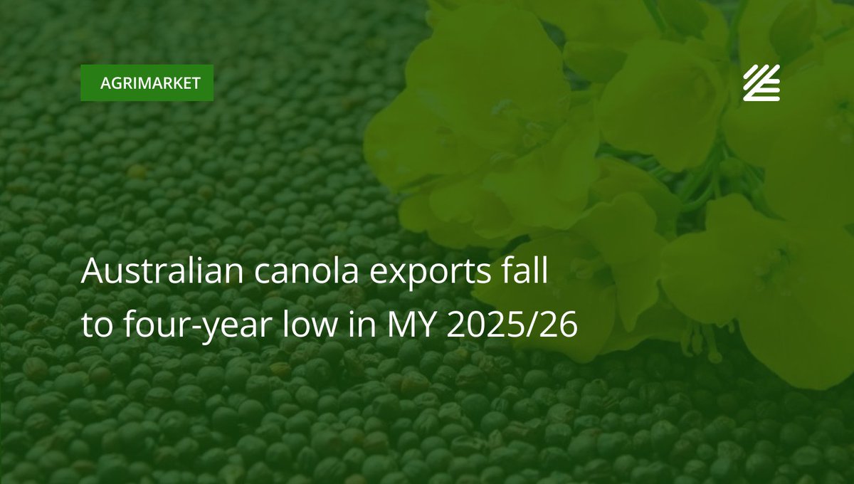 UkrAgroConsult's tweet image. 🇦🇺 #Australian #canola #exports fall to four-year low in MY 2025/26 

From October to January, shipments fell 18% compared to the same period last season, reaching 1.86 mln tons.

Read more 👉surl.li/nihssx