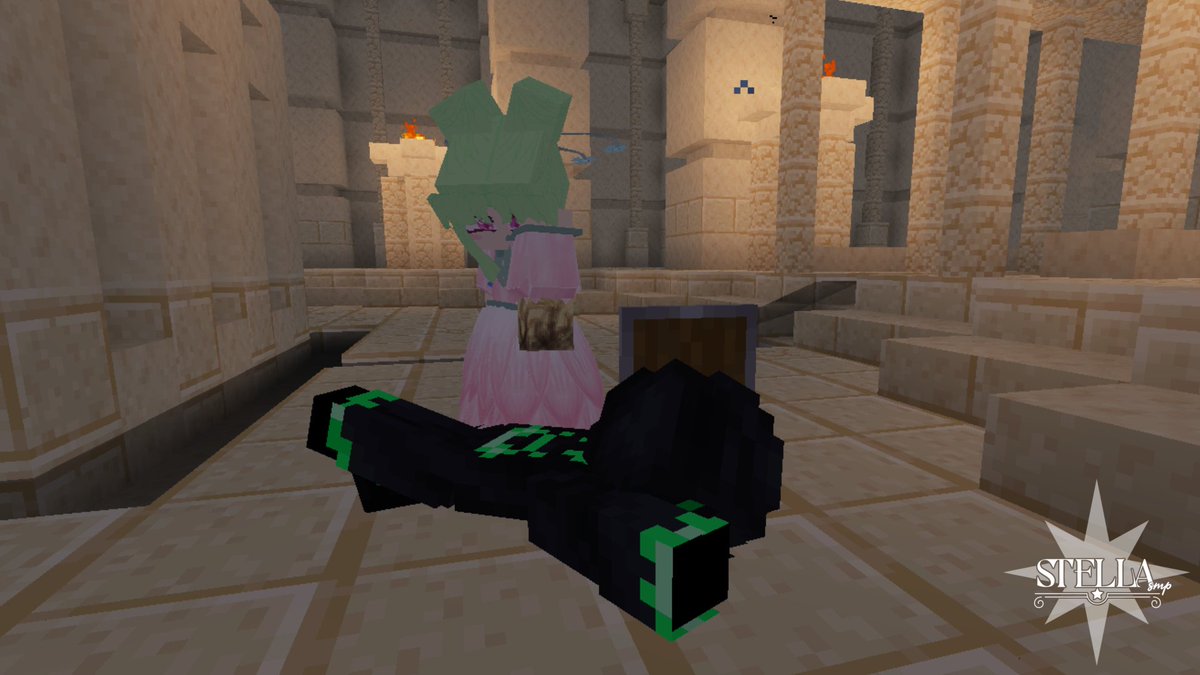 StellaSmp tweet media