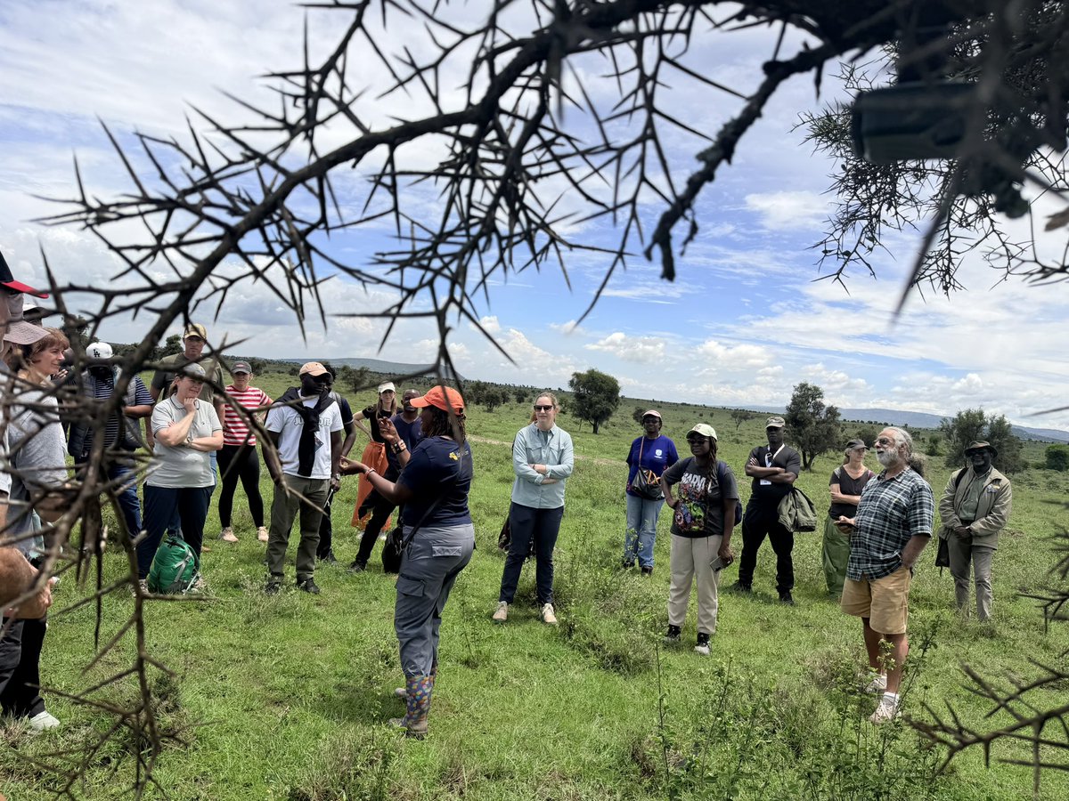 Imani Nsamila tweet media