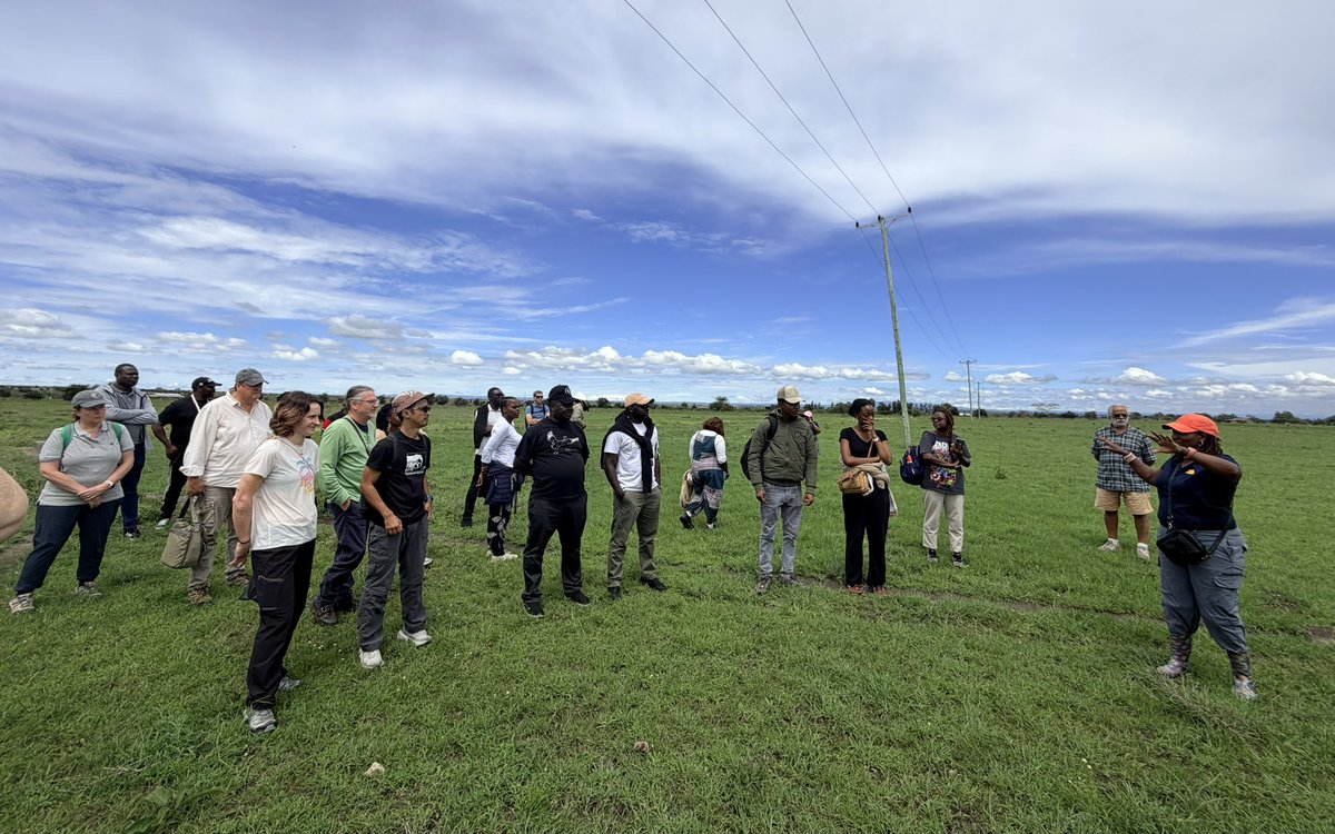 Imani Nsamila tweet media