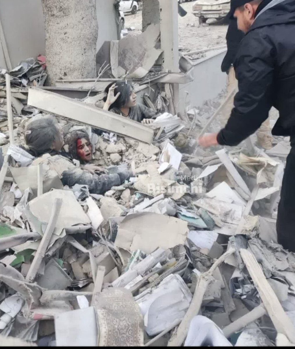 NassimNo's tweet image. Freedom.