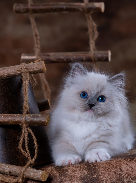 Julie Rosado tweet media