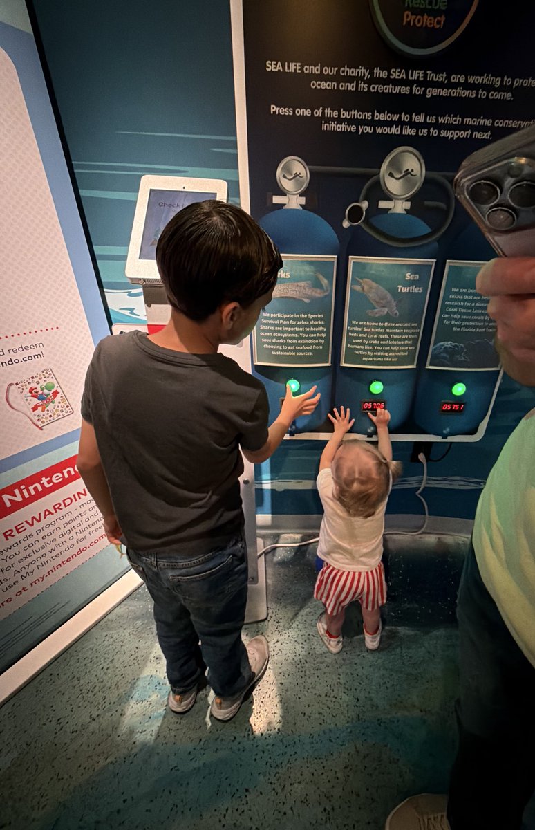 𝓗𝓲𝓷𝓪 🌺 tweet media