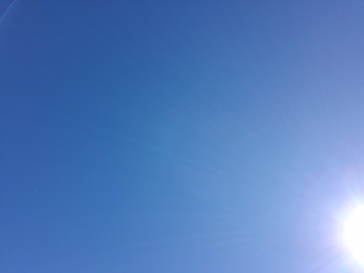 Susan Stone tweet media