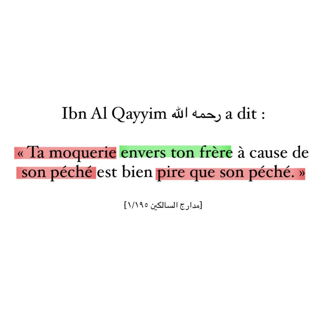 moussa_tawhid tweet media