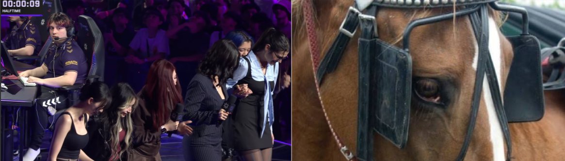 Riot Games 🇺🇸 has reportedly asked BBL Esports 🇹🇷 to "put Crewen in a horse blinker" after this image surfaced online.