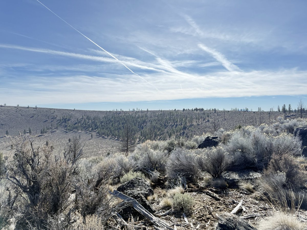 O G R E → Dennis tweet media