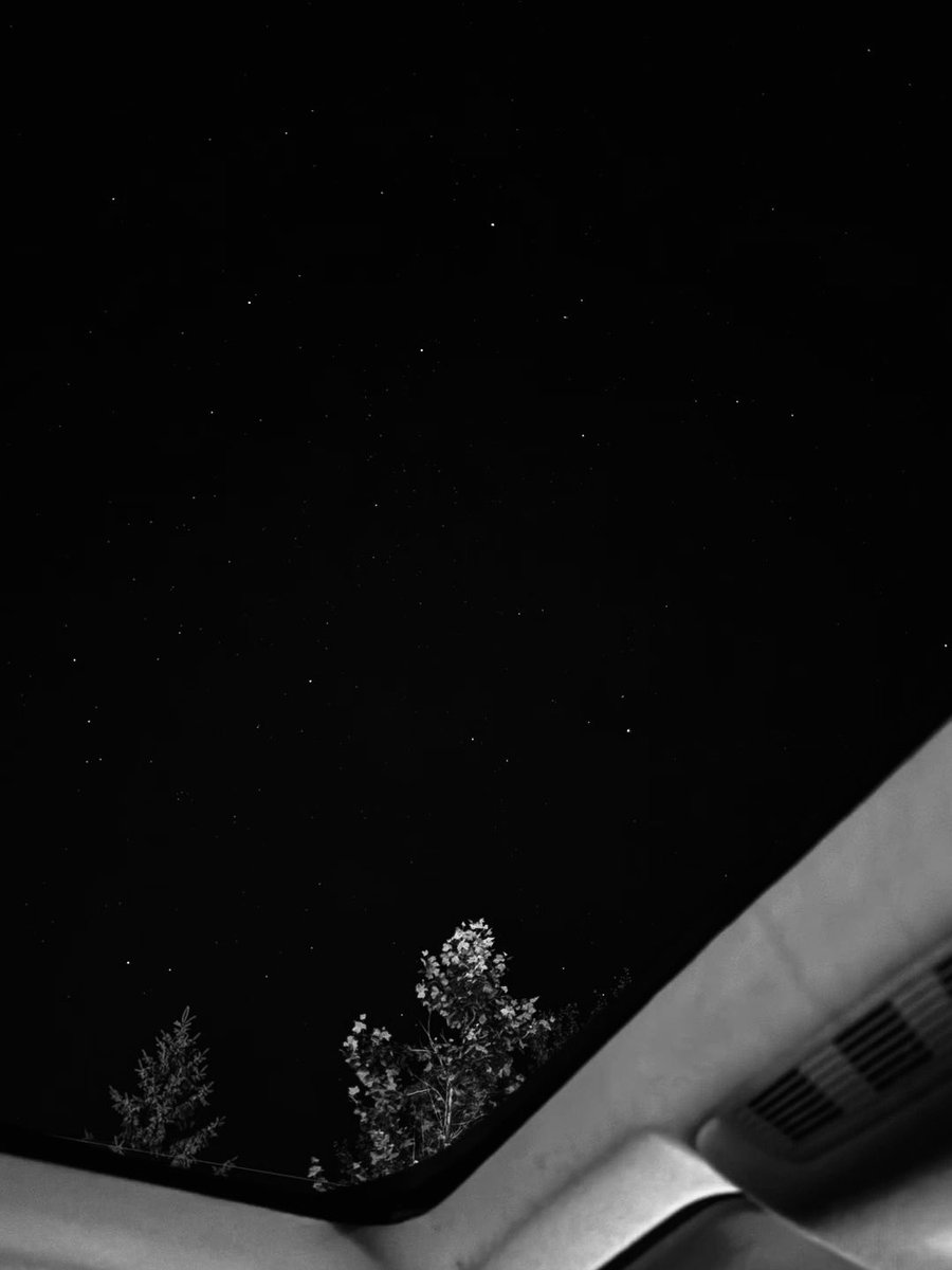 李, SEAN. tweet media