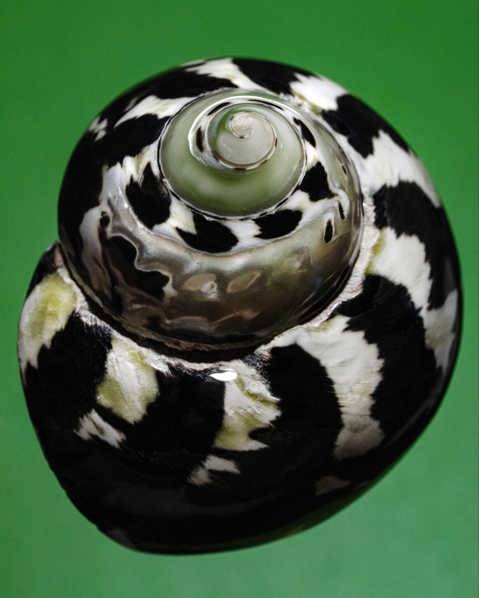 Brian Vu tweet media