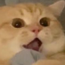 【EJAMI】 tweet media