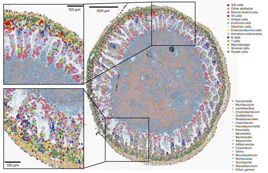 Iwijn De Vlaminck tweet media