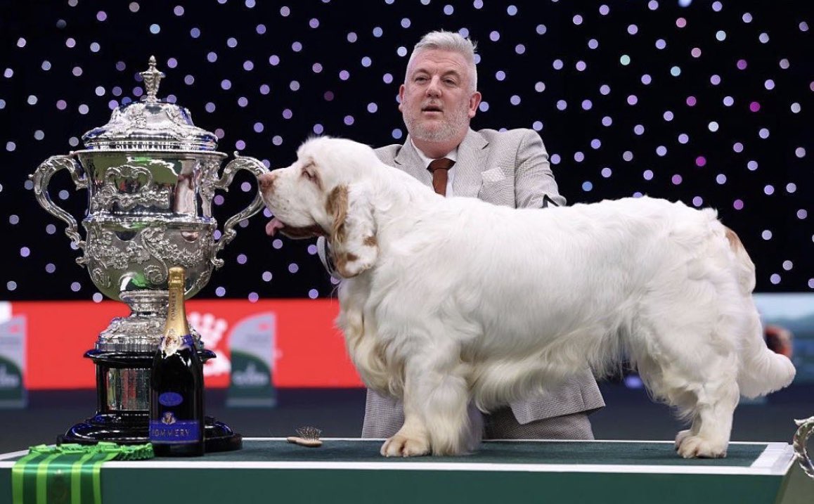 Liam Hamilton tweet media