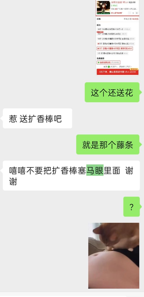 红烧狮子喵 tweet media