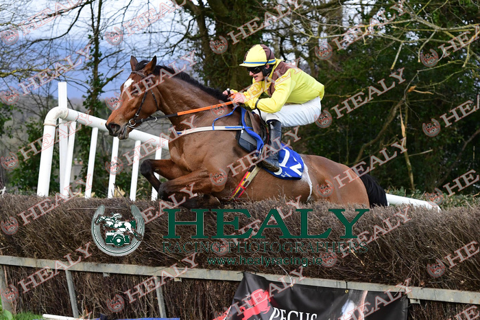 HEALY RACING tweet media