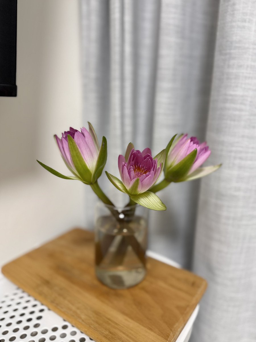 可以叫腦袋停一下嗎 tweet media