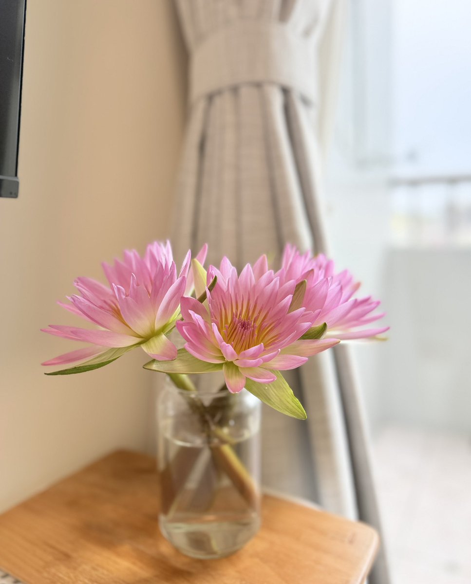 可以叫腦袋停一下嗎 tweet media