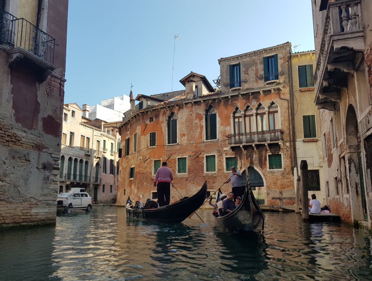 Daily Picture Theme tweet media