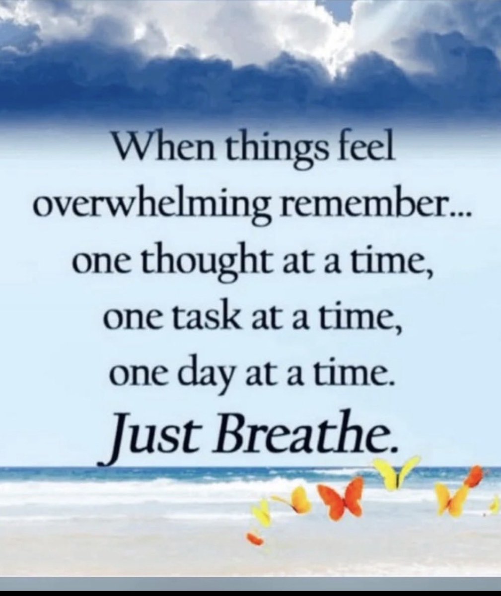 MS Views and News tweet media